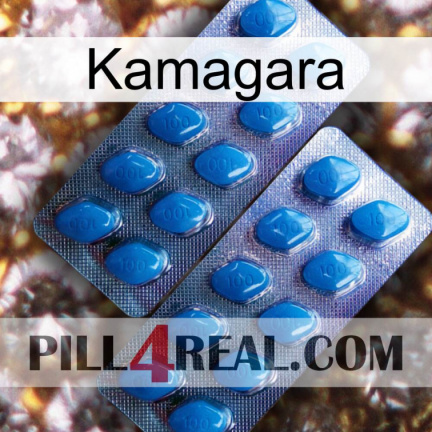 Kamagara viagra2